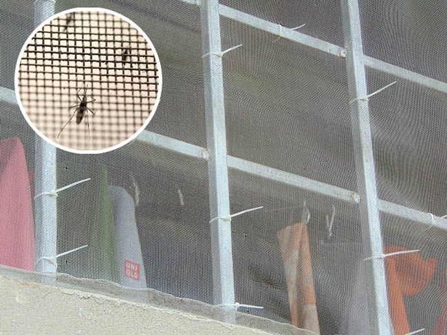 Lưới chống muỗi cho chuồng trại nên dùng loại nào tốt nhất?