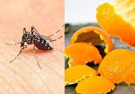  Cách chống muỗi bằng vỏ cam, vỏ quýt cực hiệu quả tại nhà