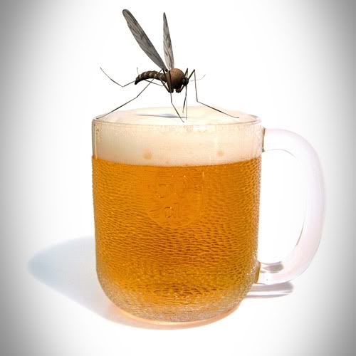 Cách chống muỗi bằng bia trong nhà đơn giản, hiệu quả