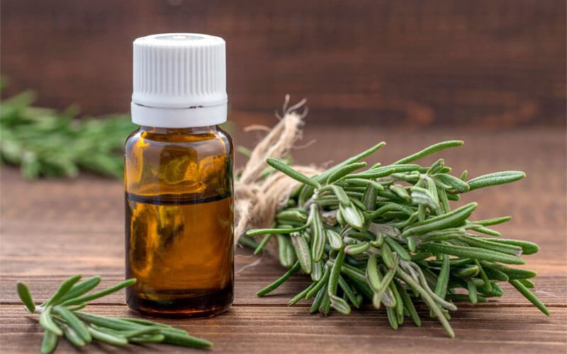 Tinh dầu hương thảo