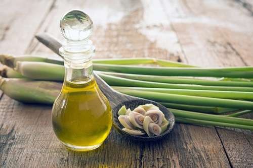 tinh dầu sả giúp đuổi muỗi hiệu quả