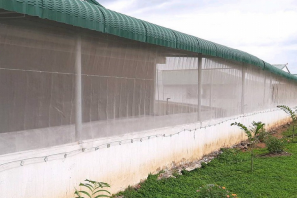 lưới chông muỗi cho chuồng trại giúp tăng năng suất chăn nuôi