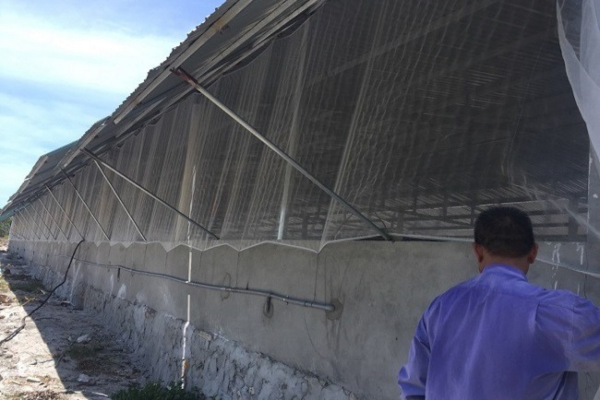 Lưới nhựa PE chống muỗi cho chuồng trại