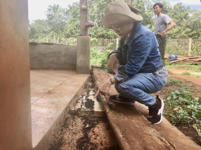 môi trường sống của bọ đen 