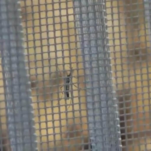 rèm chống muỗi nhựa