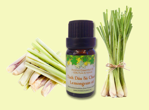 Tinh dầu chanh sả giúp đuổi muỗi rất hiệu quả