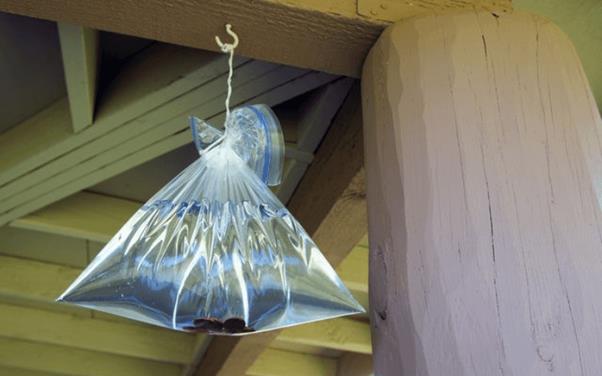 treo túi nilon đuổi ruồi